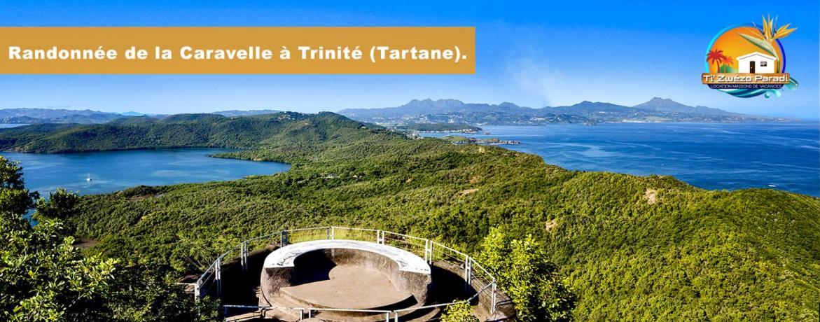 F3 Hibiscus - Piscine Chauffee - Vue Mer - 9 Min De La Plage - Ti Zwezo Paradi Ла Трините Екстериор снимка