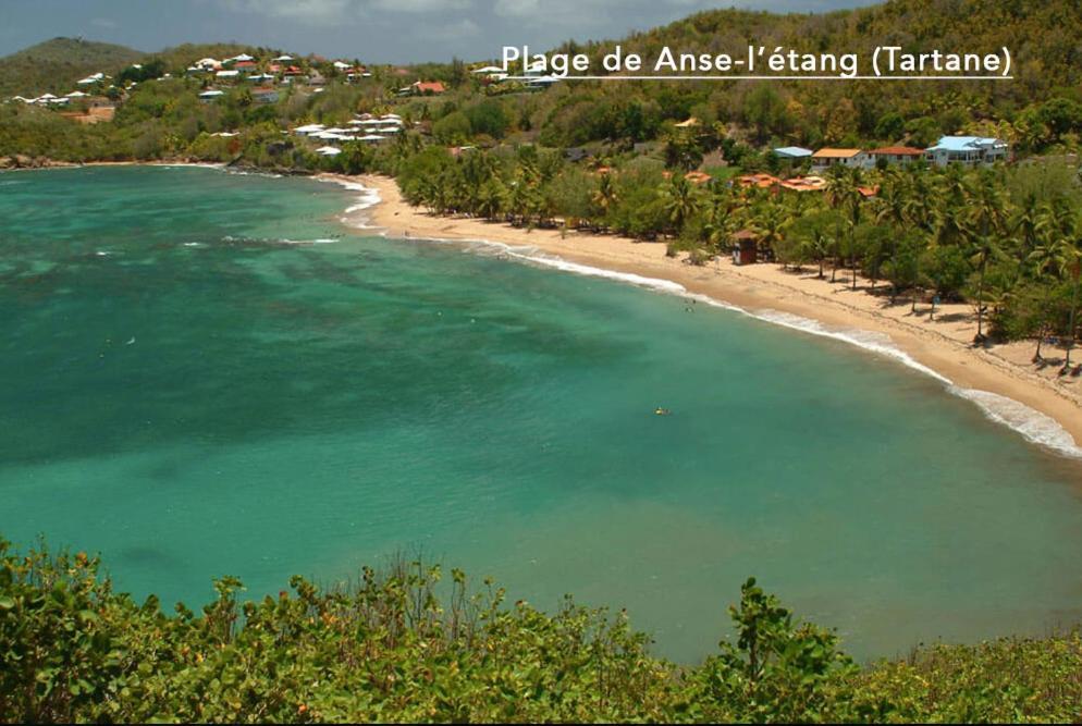 F3 Hibiscus - Piscine Chauffee - Vue Mer - 9 Min De La Plage - Ti Zwezo Paradi Ла Трините Екстериор снимка