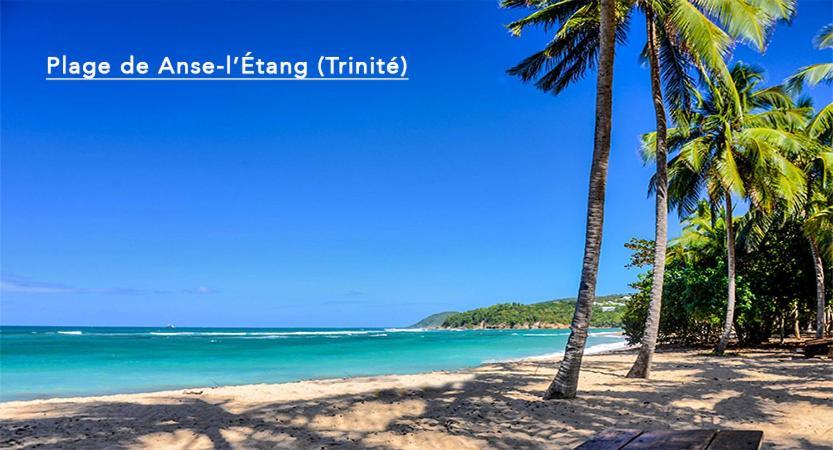 F3 Hibiscus - Piscine Chauffee - Vue Mer - 9 Min De La Plage - Ti Zwezo Paradi Ла Трините Екстериор снимка