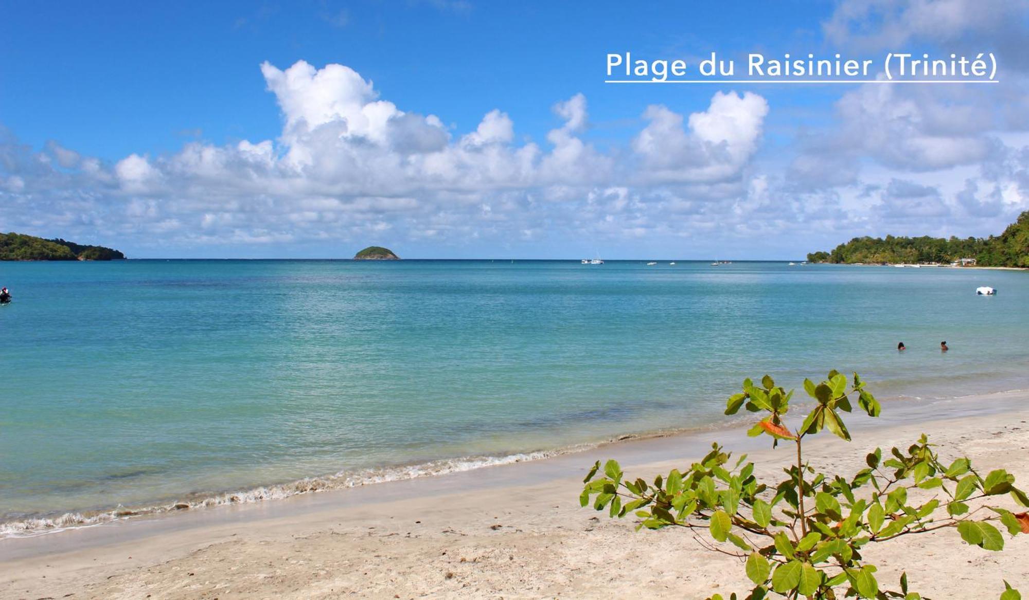 F3 Hibiscus - Piscine Chauffee - Vue Mer - 9 Min De La Plage - Ti Zwezo Paradi Ла Трините Екстериор снимка